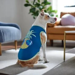 Frisco Pineapple Guy Dog & Cat T-Shirt -Meow Meals 312040 PT8. AC SS1800 V1644466024