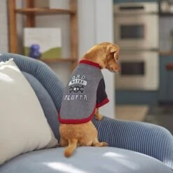 Frisco Bad Motha Fluffa Dog & Cat T-Shirt 13 Frisco Bad Motha Fluffa Dog & Cat T-Shirt -Meow Meals 312048 PT8. AC SS1800 V1644446866