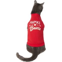 Frisco Mama's Bestie Dog & Cat T-Shirt -Meow Meals 312056 PT2. AC SS1800 V1644425822