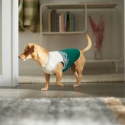 Frisco Tropical Palm Dog & Cat T-Shirt -Meow Meals 312072 PT8. AC SS1800 V1644425897