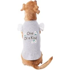 Frisco One Of A Kind Dog & Cat T-Shirt -Meow Meals 312080 PT3. AC SS1800 V1673303002