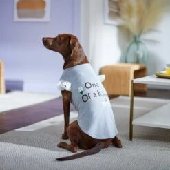 Frisco One Of A Kind Dog & Cat T-Shirt -Meow Meals 312080 PT5. AC SS1800 V1673304060