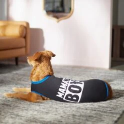 Frisco Mama's Boy Dog & Cat T-Shirt -Meow Meals 312088 PT5. AC SS1800 V1673361675