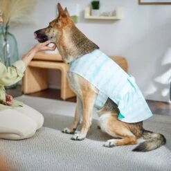 Frisco Green Tie Dye Dog & Cat Dress -Meow Meals 312104 PT8. AC SS1800 V1644424641