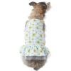 Frisco Sunflower Gingham Dog & Cat Dress -Meow Meals 312120 MAIN. AC SS1800 V1644423431
