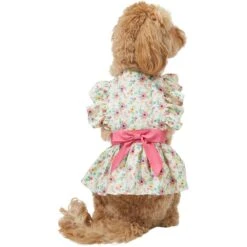 Frisco Dainty Pink Floral Dog & Cat Dress -Meow Meals 312136 PT2. AC SS1800 V1703872208