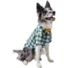 Frisco Boho Plaid Dog & Cat Shirt -Meow Meals 312184 MAIN. AC SS1800 V1644524485