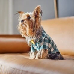Frisco Boho Plaid Dog & Cat Shirt 17 Frisco Boho Plaid Dog & Cat Shirt -Meow Meals 312184 PT8. AC SS1800 V1644524330