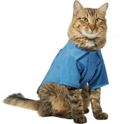 Frisco Chambray Pineapple Dog & Cat Shirt -Meow Meals 312192 PT2. AC SS1800 V1644528879