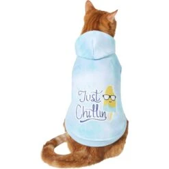 Frisco Just Chillin Dog & Cat Hoodie 11 Frisco Just Chillin Dog & Cat Hoodie -Meow Meals 312233 PT2. AC SS1800 V1644879530