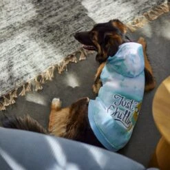 Frisco Just Chillin Dog & Cat Hoodie 15 Frisco Just Chillin Dog & Cat Hoodie -Meow Meals 312233 PT8. AC SS1800 V1644881922