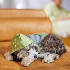 Frisco Green Southwest Dog & Cat Hoodie -Meow Meals 312248 PT8. AC SS1800 V1644883113