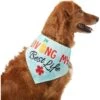 Frisco Living My Best Life Dog & Cat Bandana -Meow Meals 312288 MAIN. AC SS1800 V1644881351