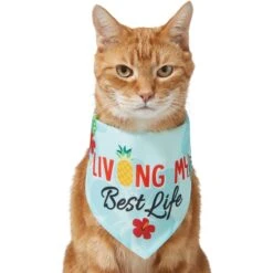 Frisco Living My Best Life Dog & Cat Bandana -Meow Meals 312288 PT2. AC SS1800 V1644884916