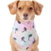 Frisco Palm Tree Dog & Cat Bandana -Meow Meals 312291 MAIN. AC SS1800 V1644885149
