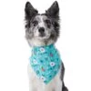 Frisco Spring Floral Dog & Cat Bandana 1 Frisco Spring Floral Dog & Cat Bandana -Meow Meals 312294 MAIN. AC SS1800 V1644879397