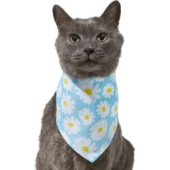 Frisco Daisy Dog & Cat Bandana -Meow Meals 312303 PT2. AC SS1800 V1644883588