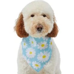 Frisco Daisy Dog & Cat Bandana -Meow Meals 312303 PT3. AC SS1800 V1673302704