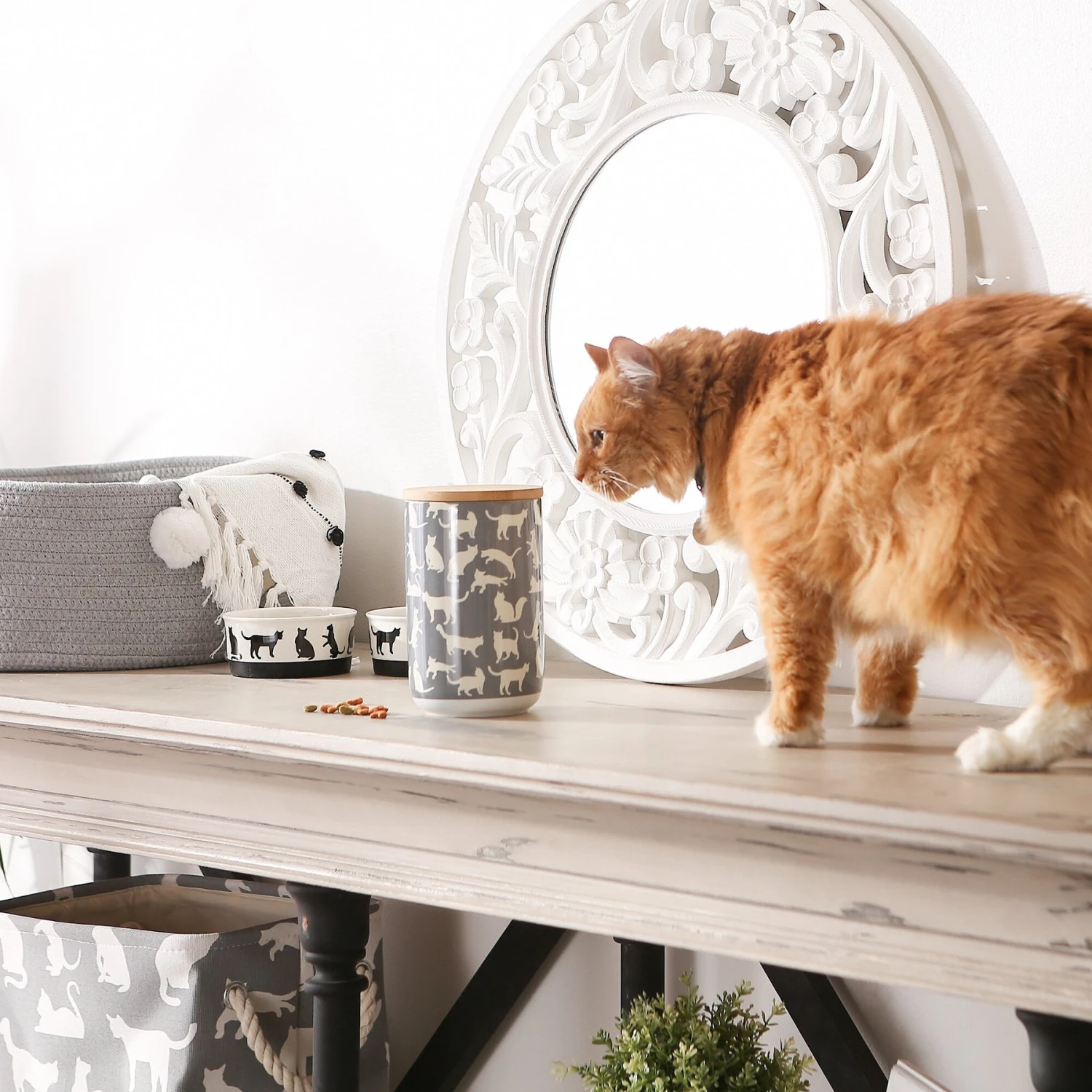 Bone Dry Ceramic Meow Cat Treat Canister 6 Bone Dry Ceramic Meow Cat Treat Canister - Image 5