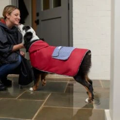 Frisco Lightweight Red Reversible Packable Dog Raincoat 17 Frisco Lightweight Red Reversible Packable Dog Raincoat -Meow Meals 315109 PT8. AC SS1800 V1646437779