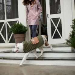 Frisco Lightweight Olive Reversible Packable Dog Raincoat -Meow Meals 315116 PT8. AC SS1800 V1646435907