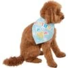 Frisco Birthday Pup Dog & Cat Bandana -Meow Meals 315130 MAIN. AC SS1800 V1646437330