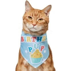 Frisco Birthday Pup Dog & Cat Bandana -Meow Meals 315130 PT2. AC SS1800 V1646437964
