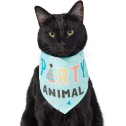 Frisco Party Animal Dog & Cat Bandana -Meow Meals 315136 PT2. AC SS1800 V1646438016