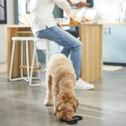 Disney Mickey Mouse Silicone Dog & Cat Lick Mat -Meow Meals 315337 PT2. AC SS1800 V1647282821