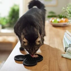 Disney Mickey Mouse Silicone Dog & Cat Lick Mat -Meow Meals 315337 PT3. AC SS1800 V1647281954