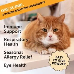 PetHonesty Lysine Immune Health+ Tuna & Chicken Flavored Powder Immune Supplement For Cats, 4.2-oz Bottle -Meow Meals 315793 PT1. AC SS1800 V1690989187