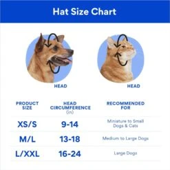 Disney Mickey Mouse Birthday Dog & Cat Hat -Meow Meals 316077 PT1. AC SS1800 V1697413418