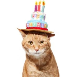 Disney Mickey Mouse Birthday Dog & Cat Hat -Meow Meals 316077 PT3. AC SS1800 V1646181348