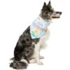 Disney Winnie The Pooh Birthday Dog & Cat Bandana -Meow Meals 316080 MAIN. AC SS1800 V1646176432