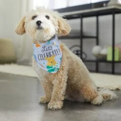 Disney Winnie The Pooh Birthday Dog & Cat Bandana -Meow Meals 316080 PT8. AC SS1800 V1646180621