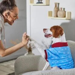 Disney Mickey Mouse Americana Dog & Cat Polo -Meow Meals 316084 PT8. AC SS1800 V1646176970