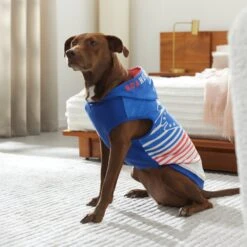 STAR WARS MAY THE 4TH Dog & Cat Hoodie -Meow Meals 316112 PT8. AC SS1800 V1646176600