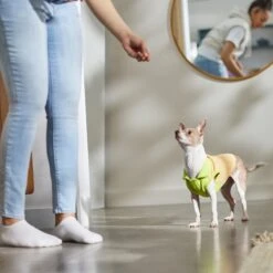 STAR WARS THE MANDALORIAN GROGU Lightweight Dog & Cat Fleece Vest 13 STAR WARS THE MANDALORIAN GROGU Lightweight Dog & Cat Fleece Vest -Meow Meals 316119 PT8. AC SS1800 V1646179025