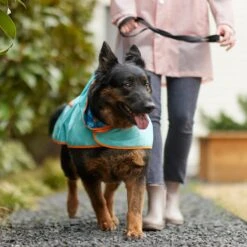 Pixar Finding Nemo Lightweight "Make A Splash" Dog & Cat Packable Raincoat 17 Pixar Finding Nemo Lightweight "Make A Splash" Dog & Cat Packable Raincoat -Meow Meals 316506 PT8. AC SS1800 V1646180597