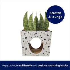 Frisco Potted Succulent Cardboard Cat House -Meow Meals 317723 PT2. AC SS1800 V1689342085