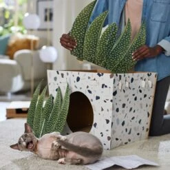 Frisco Potted Succulent Cardboard Cat House -Meow Meals 317723 PT3. AC SS1800 V1688677248