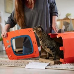 Frisco TV Set Cardboard Cat House 11 Frisco TV Set Cardboard Cat House -Meow Meals 317731 PT3. AC SS1800 V1688677262