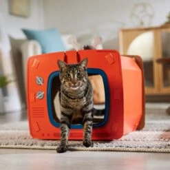 Frisco TV Set Cardboard Cat House 12 Frisco TV Set Cardboard Cat House -Meow Meals 317731 PT4. AC SS1800 V1688677247