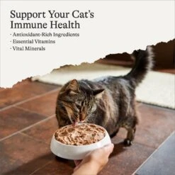 American Journey Senior Pate Chicken & Beef Recipe Canned Cat Food, 3-oz Can, Case Of 24 -Meow Meals 330849 PT1. AC SS1800 V1691614424