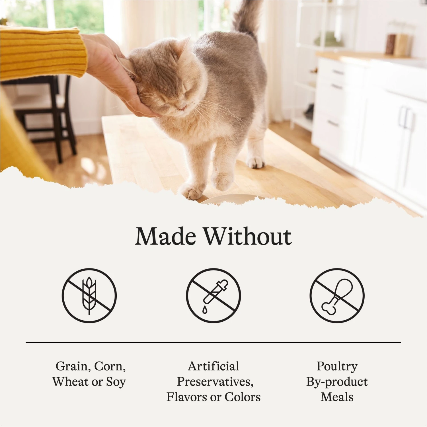 American Journey Senior Pate Salmon Recipe Canned Cat Food, 3-oz Can, Case Of 24 10 American Journey Senior Pate Salmon Recipe Canned Cat Food, 3-oz Can, Case Of 24 - Image 8