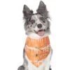 Frisco Orange Spiderweb Dog & Cat Costume Bandana -Meow Meals 335046 MAIN. AC SS1800 V1658719175