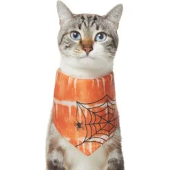 Frisco Orange Spiderweb Dog & Cat Costume Bandana -Meow Meals 335046 PT2. AC SS1800 V1658716498