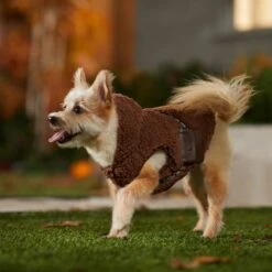 STAR WARS CHEWBACCA Mediumweight Sherpa Dog & Cat Vest -Meow Meals 335212 PT8. AC SS1800 V1657656945