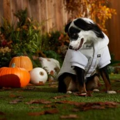 STAR WARS PRINCESS LEIA HOTH Dog & Cat Puffer Jacket -Meow Meals 335219 PT8. AC SS1800 V1657656945