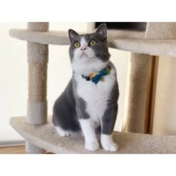 Necoichi Yukata Bow Tie Breakaway Cat Collar -Meow Meals 335345 PT7. AC SS1800 V1644920208